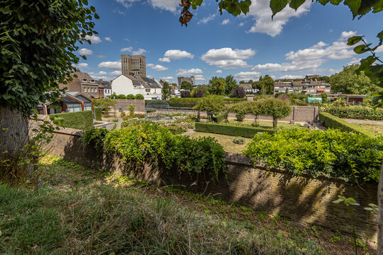 Rose garden (Jardin des Roses) in Sittard with rose bushes, green trees, bushes and pedestrian sidewalks seen from a hill with an urban landscape in the background, South Limburg, Netherlands