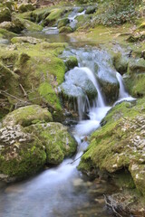 Ruisseau écume Huveaune