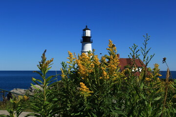 Portland Head Light House in Maine