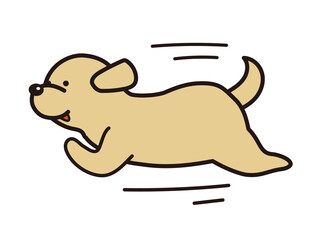 走る犬