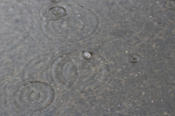 pluie au sol