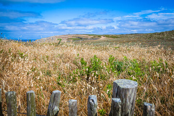 Cotes Sauvage, wild coast at the Quiberon peninsula in Brittany, France