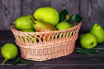 ripe pears in a wicker basket close-up. the crop of pears. pears on a wooden background.