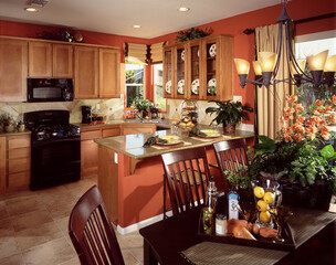 Kitchen Interior Home Design of House