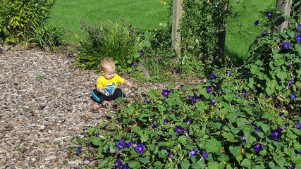 Young Child in Flower Garden