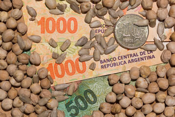 Economy of grains. Argentine Republic, South America.