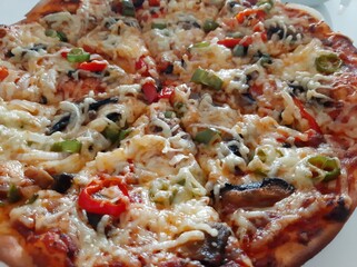 hot and delicious pizza