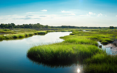 Fototapeta na wymiar Winding River through green marshland. Blue water, cloudy blue sky, and reflections of the sun.