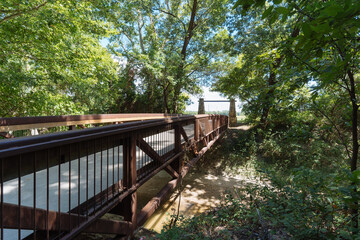 steel bridge in the forest