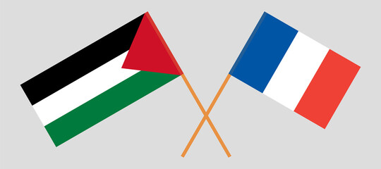Crossed flags of Palestine and France