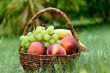 Fruit basket in the park on the grass. Fresh fruits in crisin.