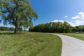 A concrete path in a Texas city park on a sunny August day.