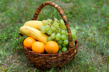 Fruit basket in the park on the grass. Fresh fruits in crisin.