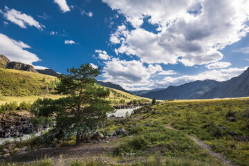 Fototapeta na wymiar Mountain landscape with river Katun. Altai Republic
