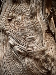 old wood texture