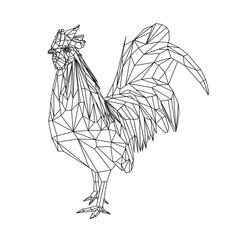 low poly animal rooster line vector model on a white background © Ievgeniia Obelmaz