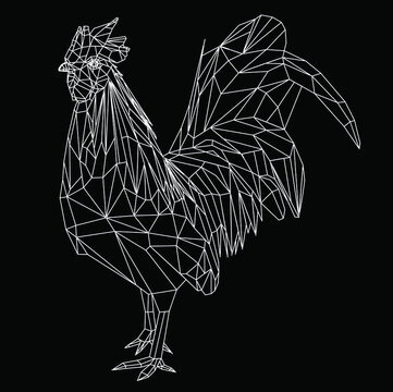 Low Poly Animal Rooster Line Vector Model