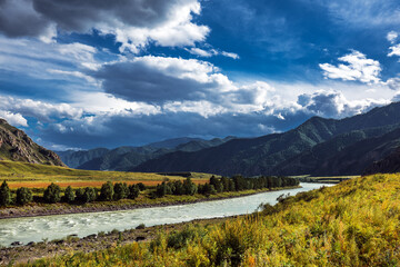 Obraz premium Mountain landscape with river Katun. Altai Republic