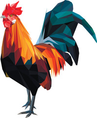low poly vector rooster color model