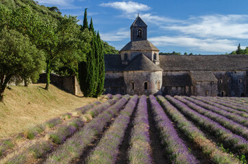 Abbaye Notre-Dame de Sénanque with lavender