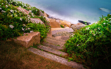 Stone stairs to the beach, view from the top of the rocky bank over the wild rose bushes