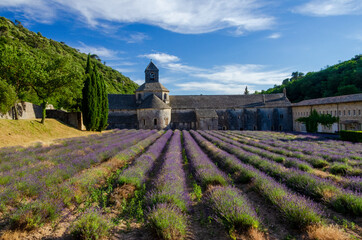 Abbaye Notre-Dame de Sénanque with lavender