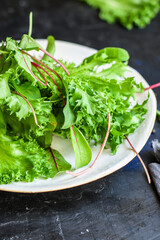 Healthy salad raw leaves mix salad micro greens serving size natural juicy snack. food background keto or paleo diet