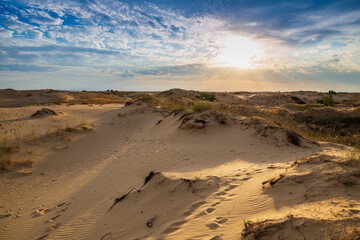 Beautiful desert landscape with dunes. Walk on a sunny day on the sands.