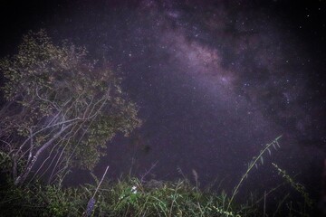 night sky with stars