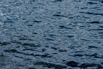 Fototapeta premium ocean ripples