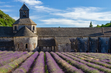 Abbaye Notre-Dame de Sénanque with lavender field
