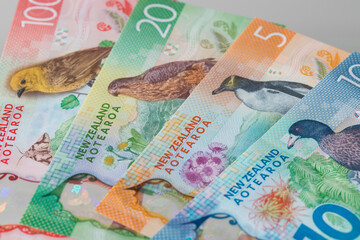 Various Banknotes of New Zealand. Party with a bird.