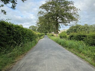 A view down, Hills Lane, with high hedgerows wild plants and trees near, Hetton, Skipton, UK