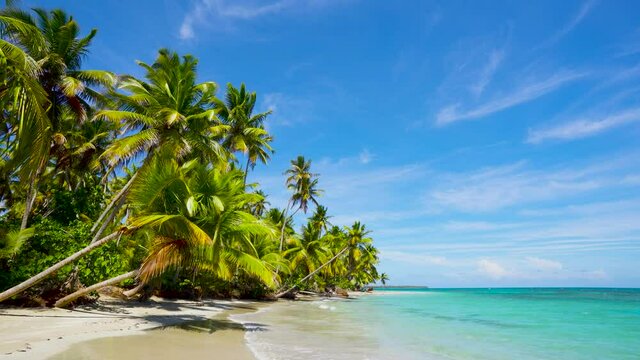 Palm grove on the beach Indian ocean. Travel to natural palm beach and sea.