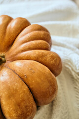 Autumn background with pumpkin on the white tablecloth. Cozy fall