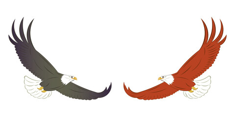 Flying Eagle - Bald Eagle drawing in vector