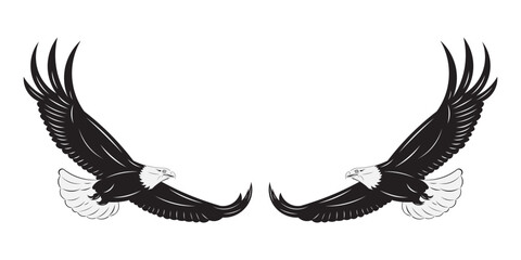 Flying Eagle - Bald Eagle drawing in vector