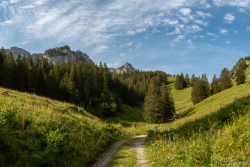 Fototapeta na wymiar Landscape of the Regional Park Gruyère Pays-d'Enhaut, Switzerland