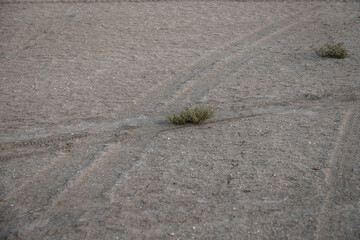 dry bottom of the reservoir. soil erosion. the water's gone. the bottom of the lake. a desert...