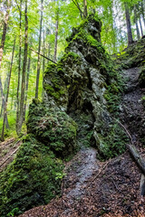 Snake valley, Kremnica hills, Slovakia, seasonal natural scene