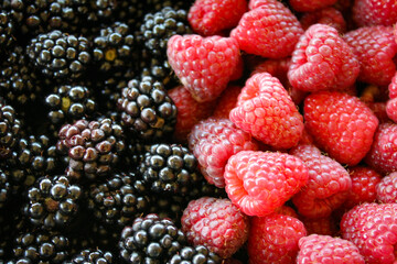 Full frame of blackberries and raspberries. On the left side blackberries and on the right side raspberries.