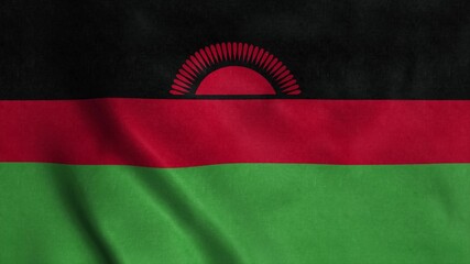 The national flag of Malawi is flying in the wind. 3d rendering