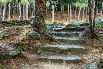 pine forest with a stone staircase in the foreground. madrid Spain - 374395337