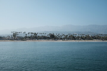 Beach with palm trees