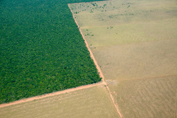 Vista aérea de area de cerrado desmatada para plantio de grãos