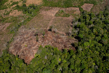 Vista aérea de area de cerrado desmatada para plantio de grãos