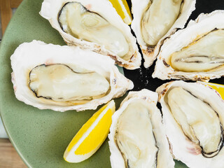Oysters in a fish market