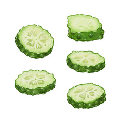 Cucumber slices raw, fresh and green hand drawn watercolor illustration isolated on white. Organic and healthy vegetarian menu design element