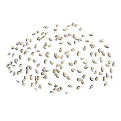 Sesame seeds hand drawn watercolor illustration. Grain pile isolated on white background for menu design