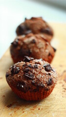 chocolate muffins